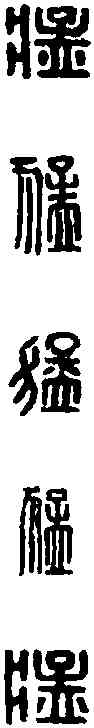 猛,名 印 ,書法字典